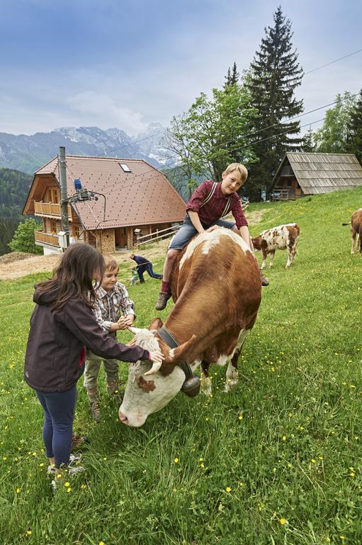 Holiday Chalet "Alpine Dreams" With Private Wellness Solčava Quarto foto
