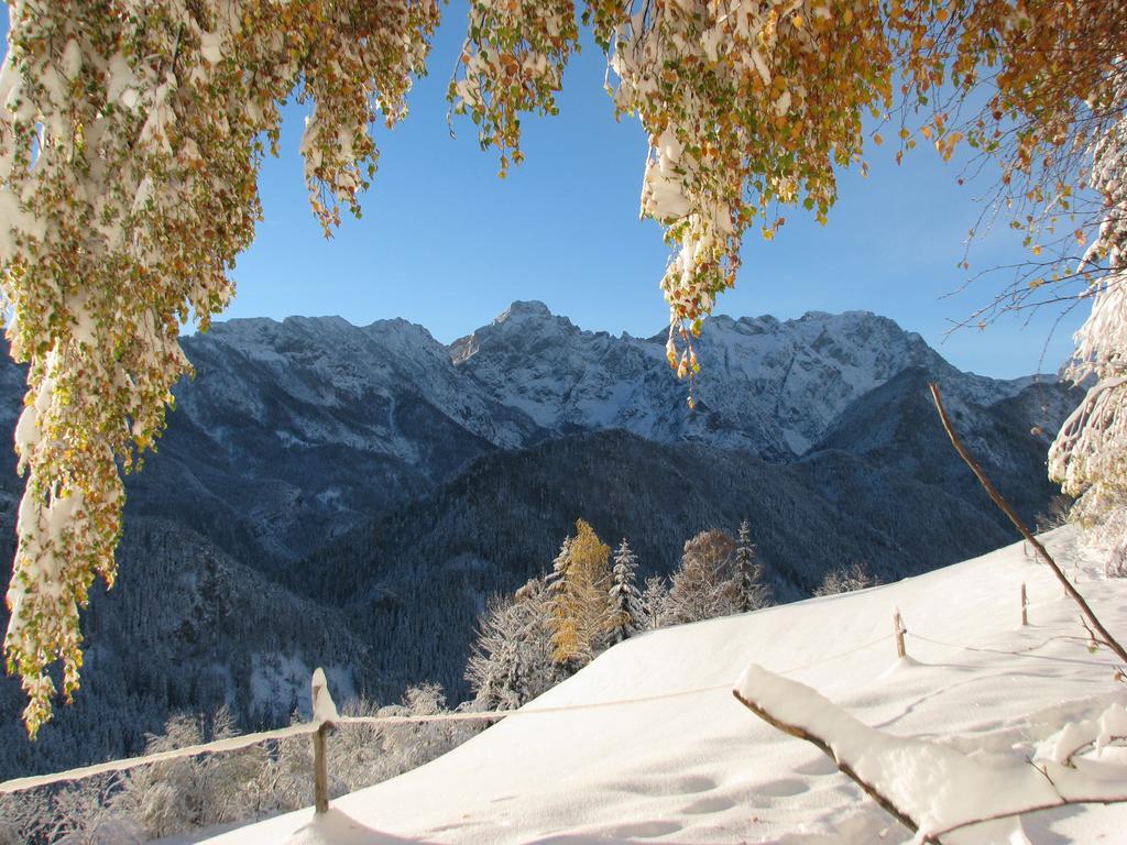 Holiday Chalet "Alpine Dreams" With Private Wellness Solčava Exterior foto